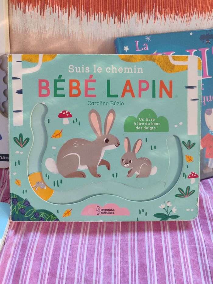 Lot livres 12/18 mois - photo numéro 5