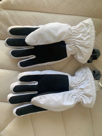 Gant de ski