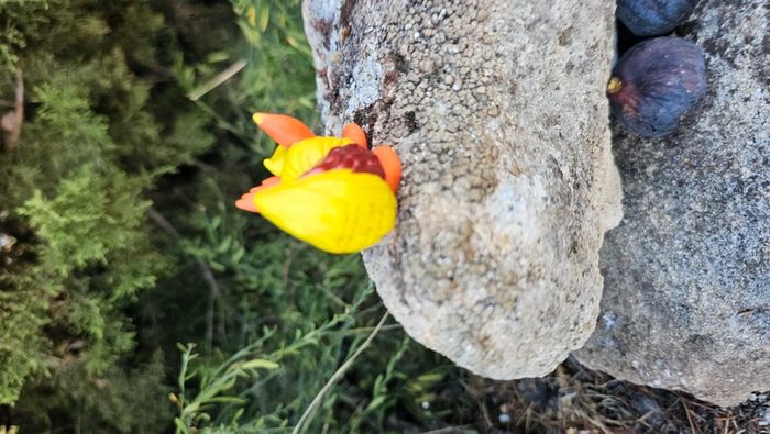 Super figurine Pokemon Nintendo finger puppet pyroli - photo numéro 3