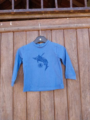 Tee-shirt manche longue bébé garçon 18 mois