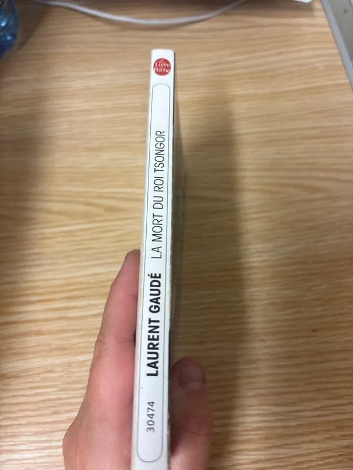Livre Laurent gaudé - photo numéro 2