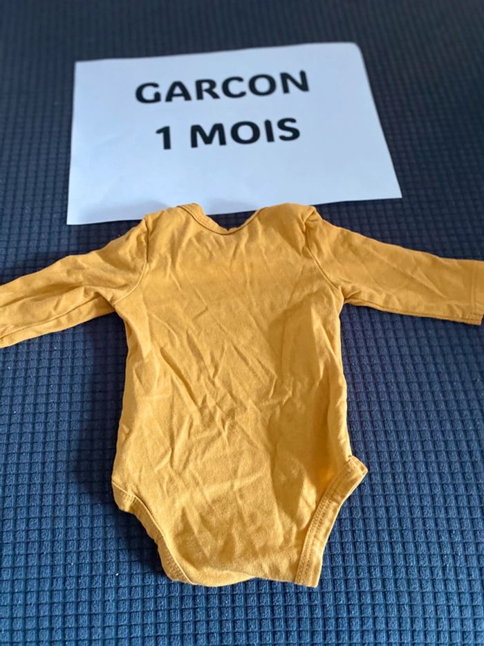 Bodie 1 mois - photo numéro 2