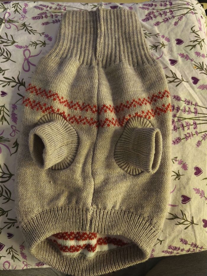 Pull chien - photo numéro 2