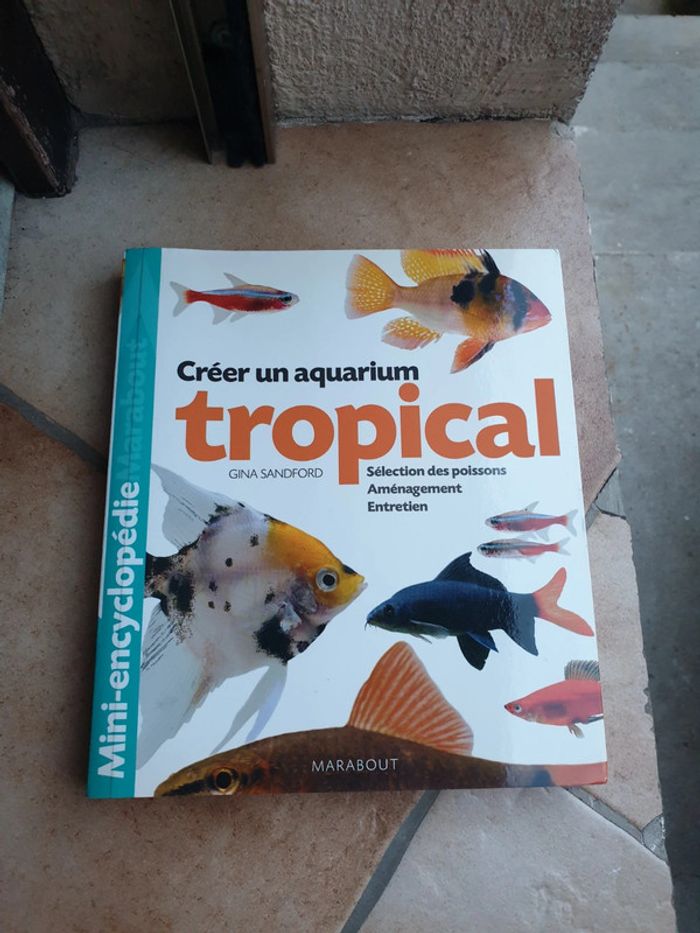 créer un aquarium tropical