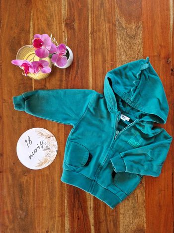 Veste zippée 18 mois Dino