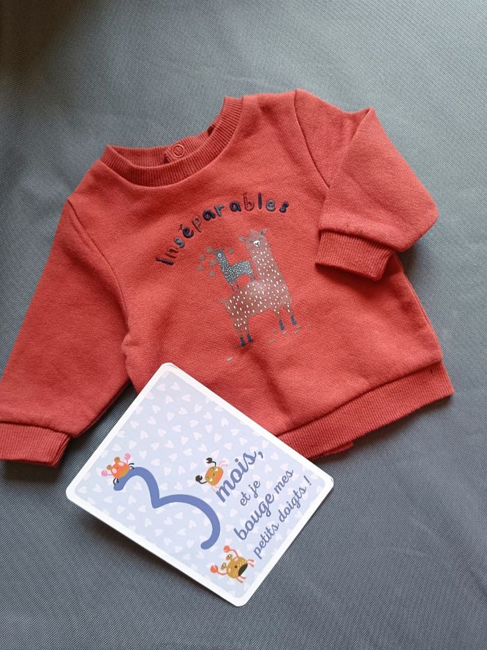 Pull camel 🦕 Taille 3 mois