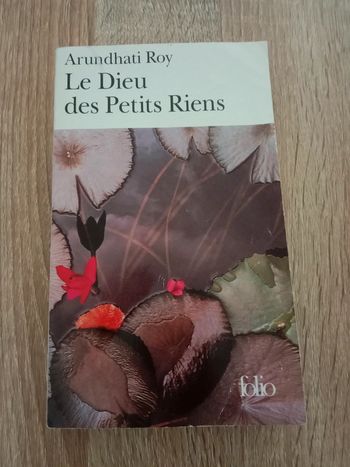 Arundhati Roy 🔹 Le dieu des petits riens