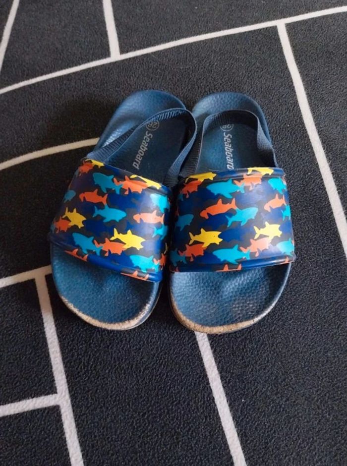 Chaussures T26 requin