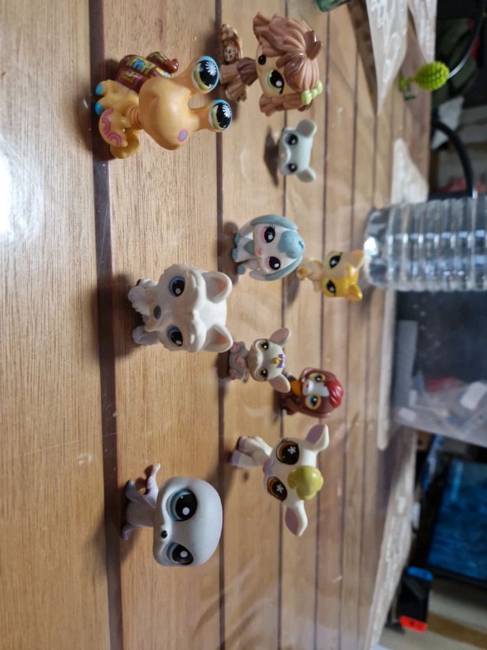 Lot petshop (8) - photo numéro 5