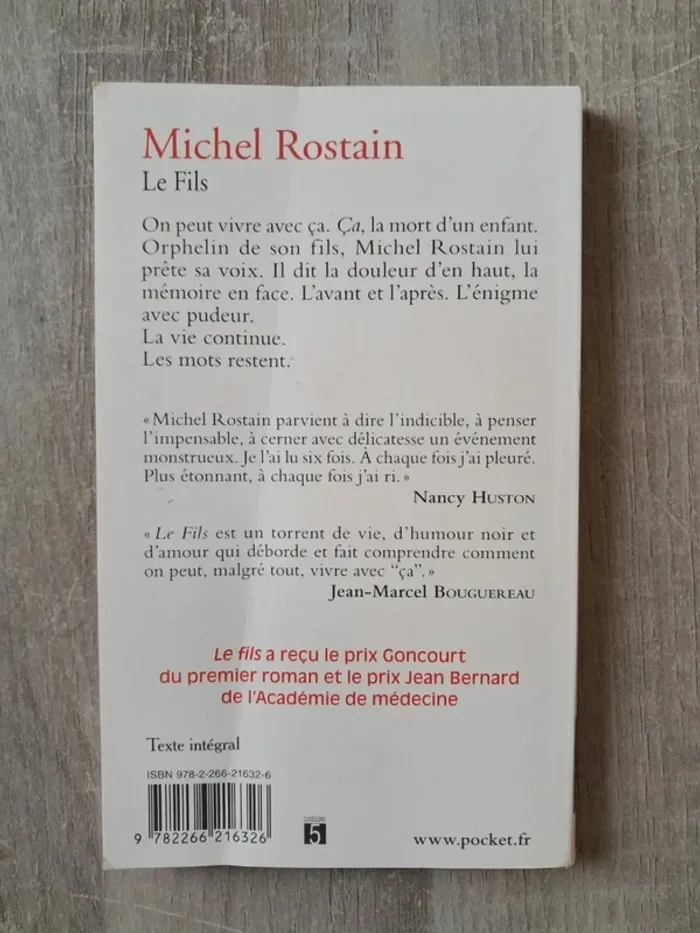 Livre Roman Le fils michel rostain - photo numéro 2