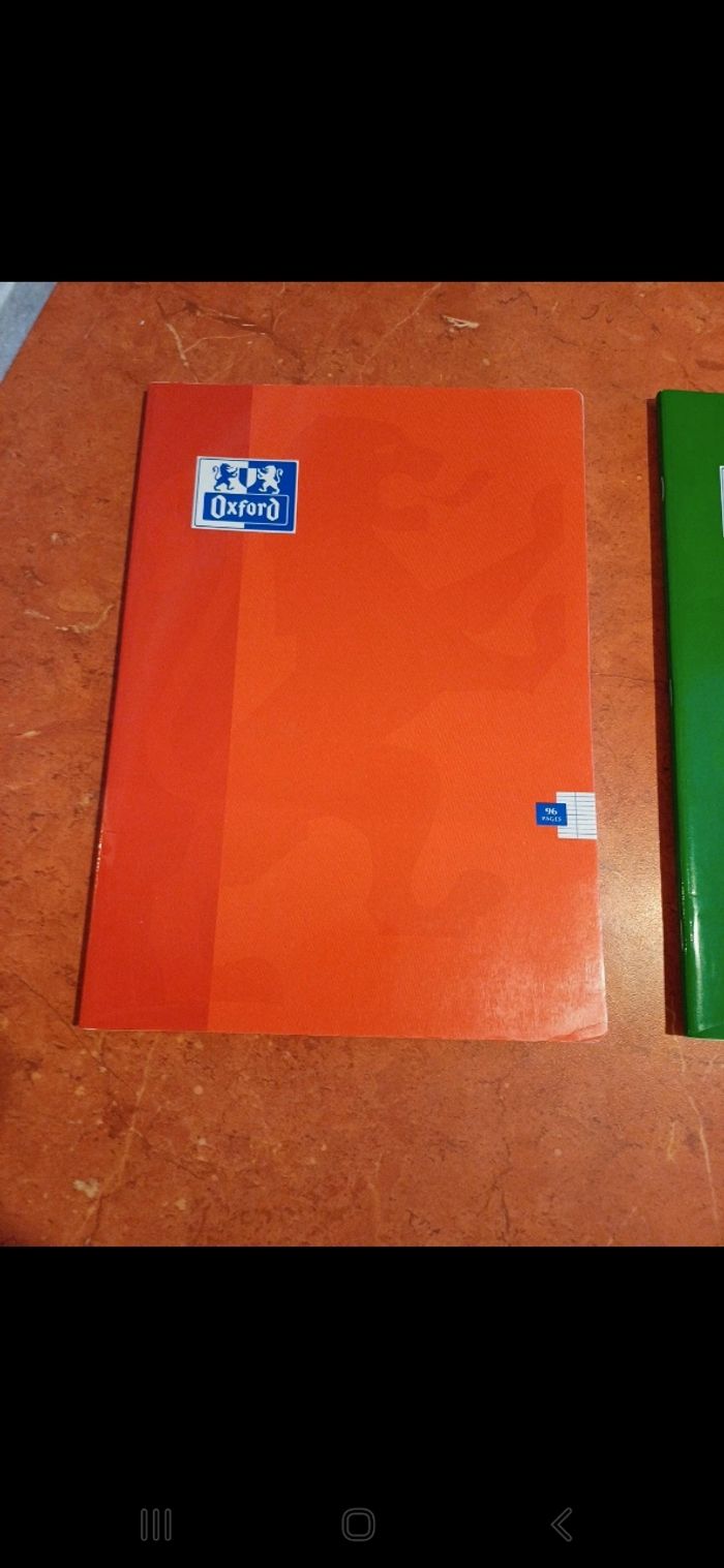 Lot de 2 cahiers oxford 21 / 29.7 cm - photo numéro 3