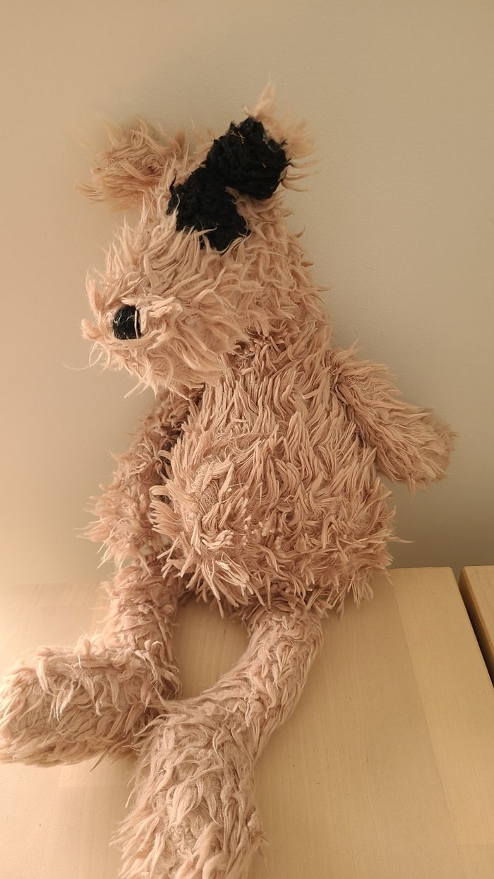 Doudou chien - photo numéro 5