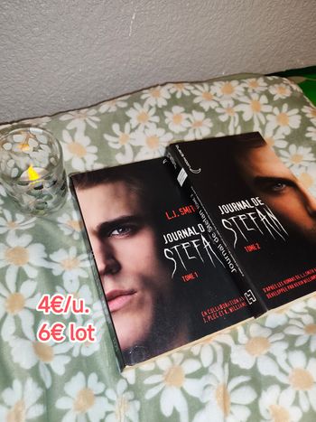Livres - Journal de Stefan Tome 1 et 2