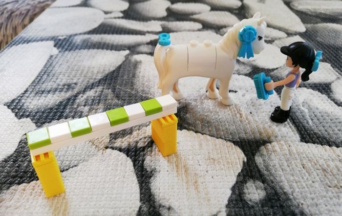 La remorque à chevaux d'Emma - photo numéro 4