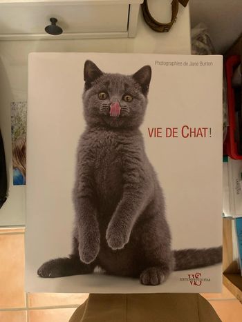 Vie de Chat ! Grand livre Jane Burton