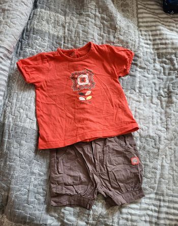 Ensemble sucré d'orge 12 mois