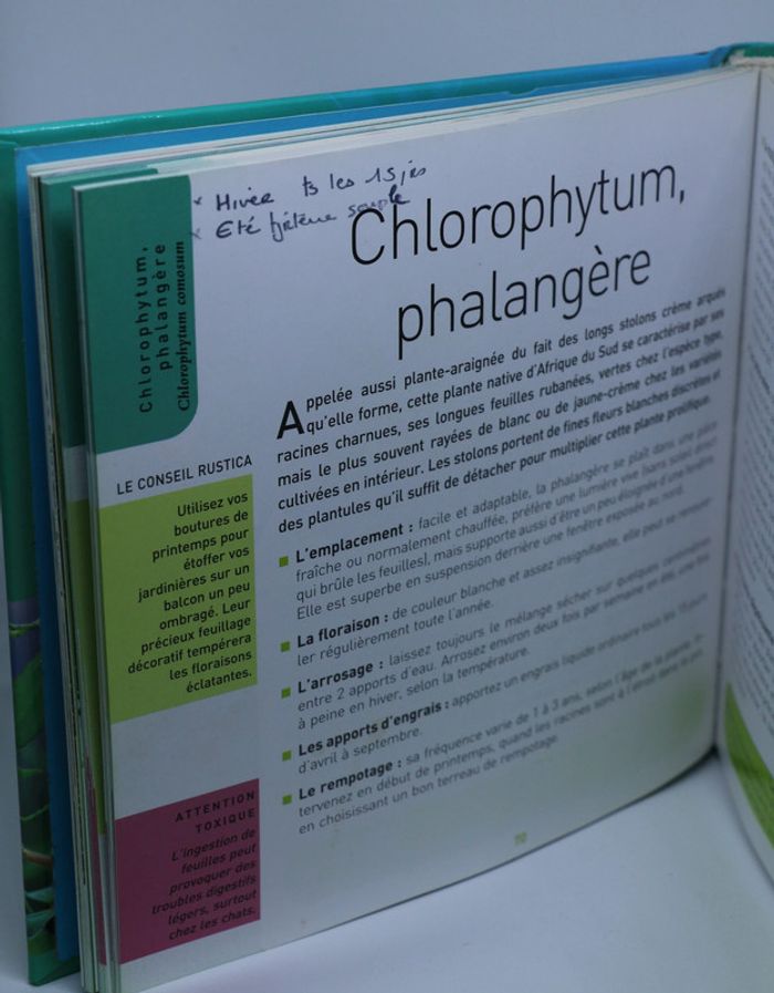 livre les plantes d'intérieur de A à Z - photo numéro 3