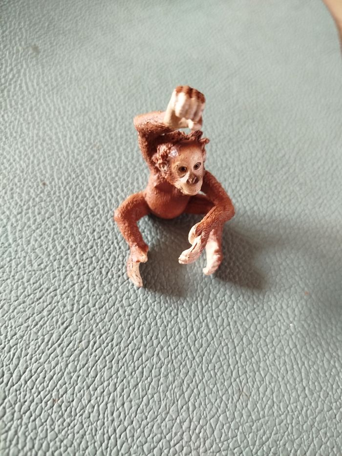 Bébé Orang-outan