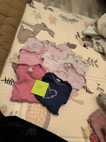 Lot 8 bodies
