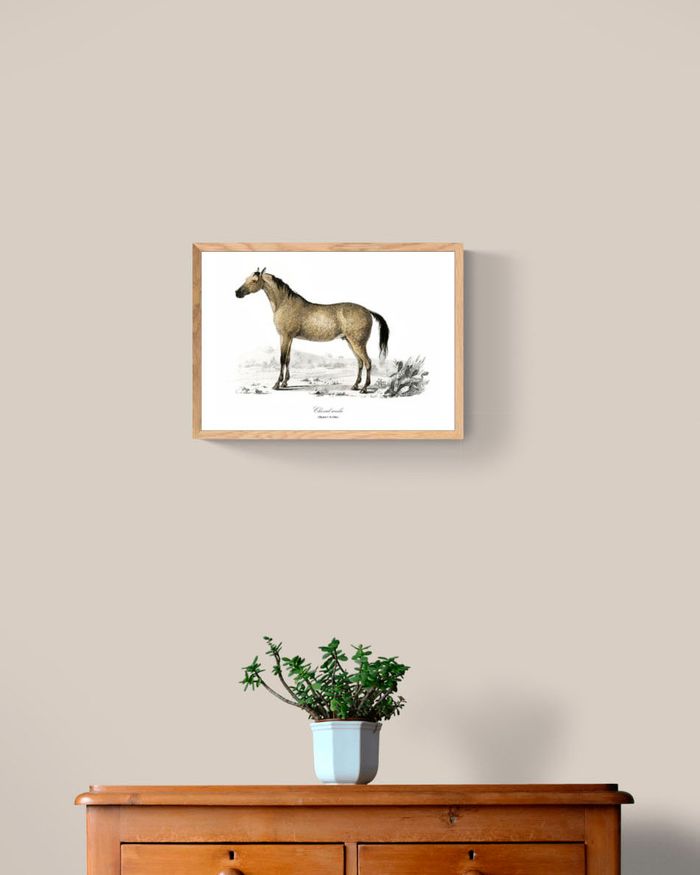 Affiche déco vintage Cheval - photo numéro 2