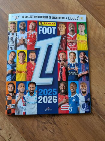 Livre panini foot ligue 1 