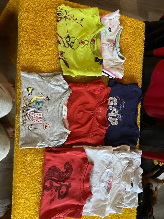 Lot t shirt manche longue 2 ans