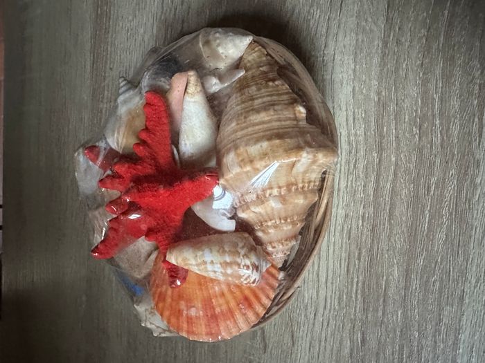 Corbeille avec coquillages - photo numéro 3