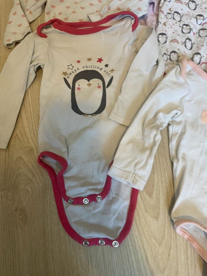 Lot 6 bodys 9 mois - photo numéro 4