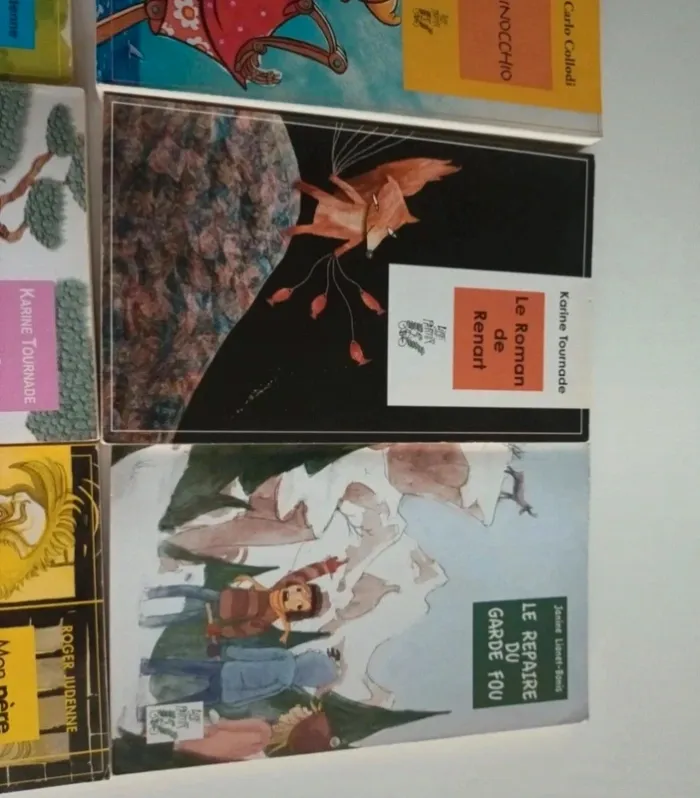 Livres pour enfants , romans jeunesse - photo numéro 4