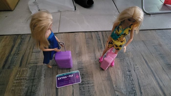 Lot de barbies - photo numéro 8