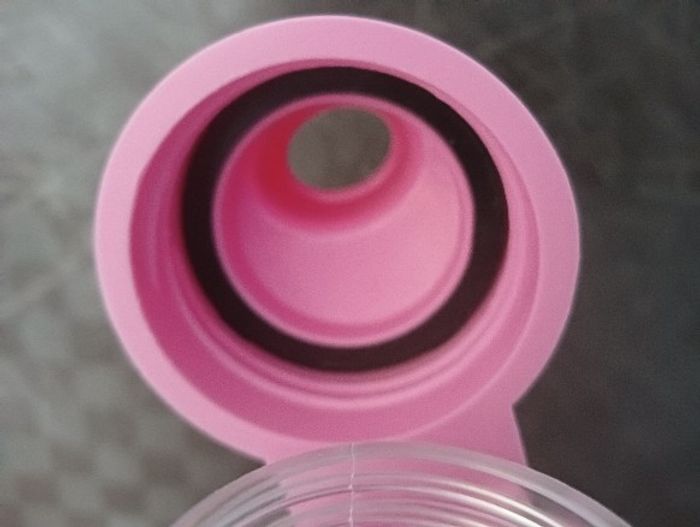 gourde - photo numéro 4