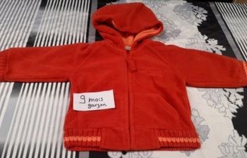 Veste à capuche 9 mois garçon