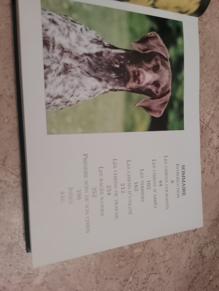 Encyclopédie des chiens - photo numéro 3