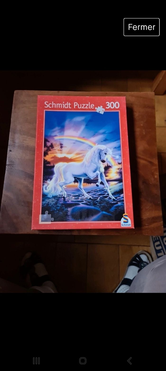 Puzzle 300 pièces