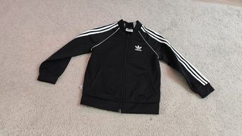 Veste