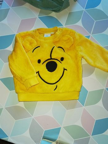 D1306 - pull winnie 3 mois