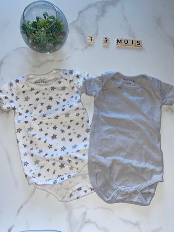 Lot 2 bodies manche courte