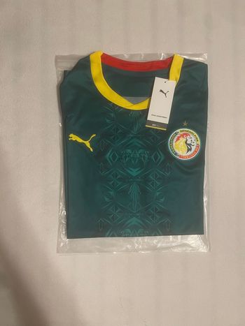 Maillot du Sénégal Coupe du monde 2026