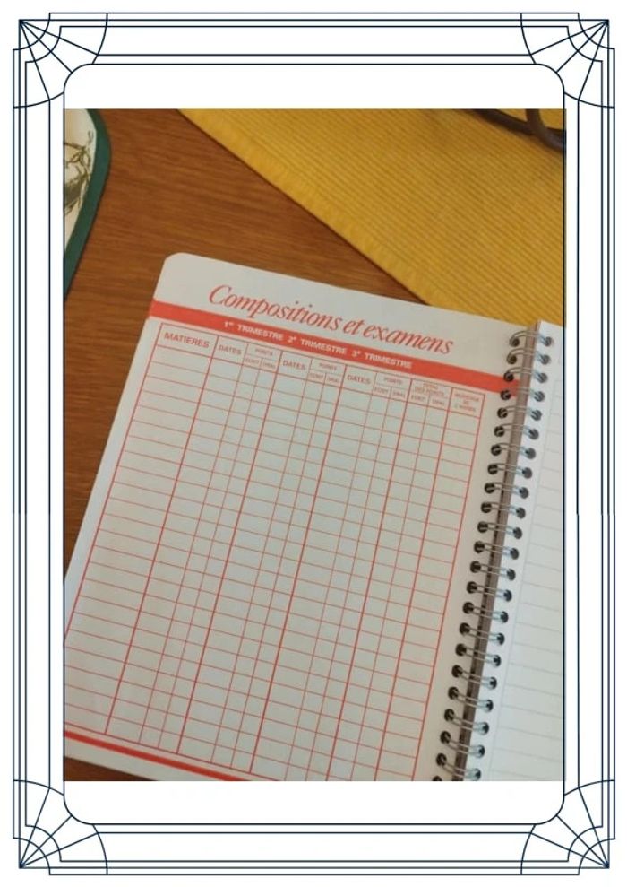 Agenda carnet école 17 x 22 cm fille fée neuf - photo numéro 15