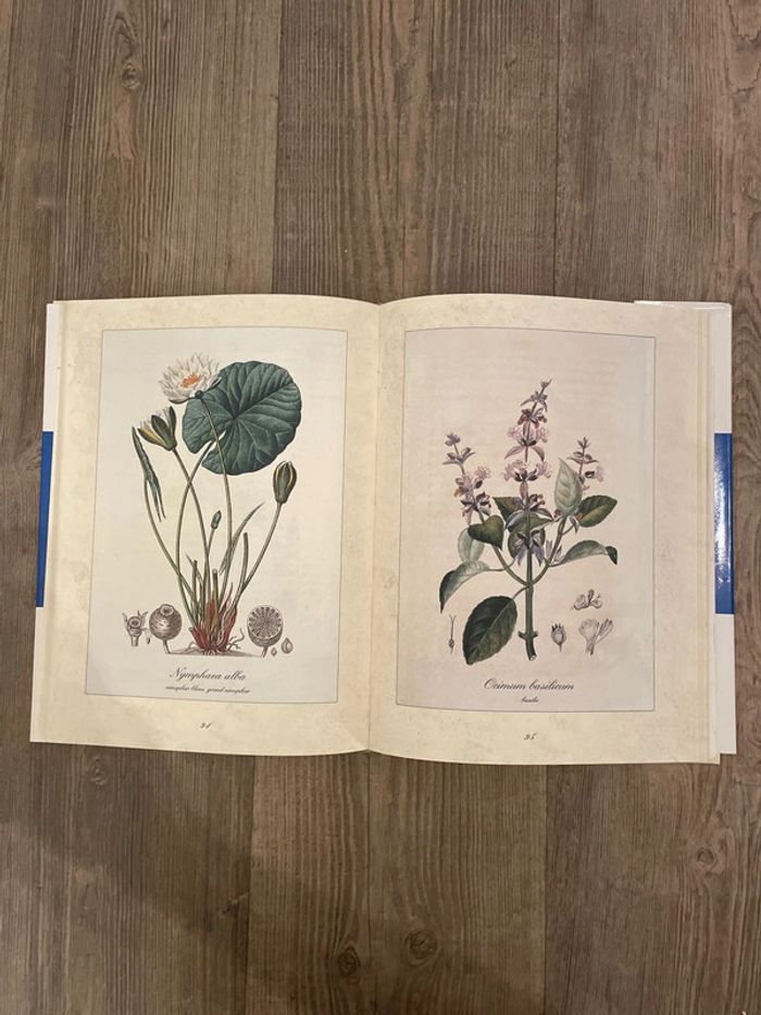 Livre l’herbier des plantes médicinales - photo numéro 3