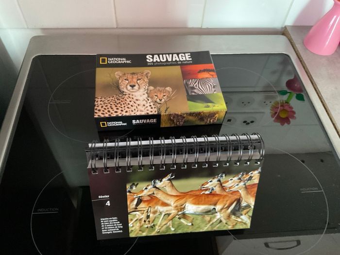 Calendrier National Geographic, nature sauvage - photo numéro 2