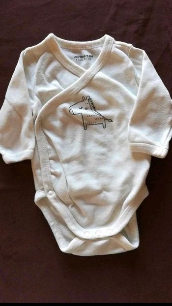 Body  cheval