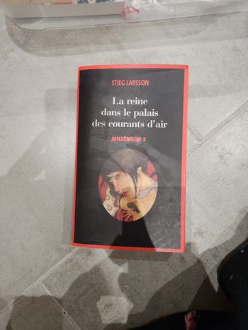 Livre : La reine dans le palais des courants d'air