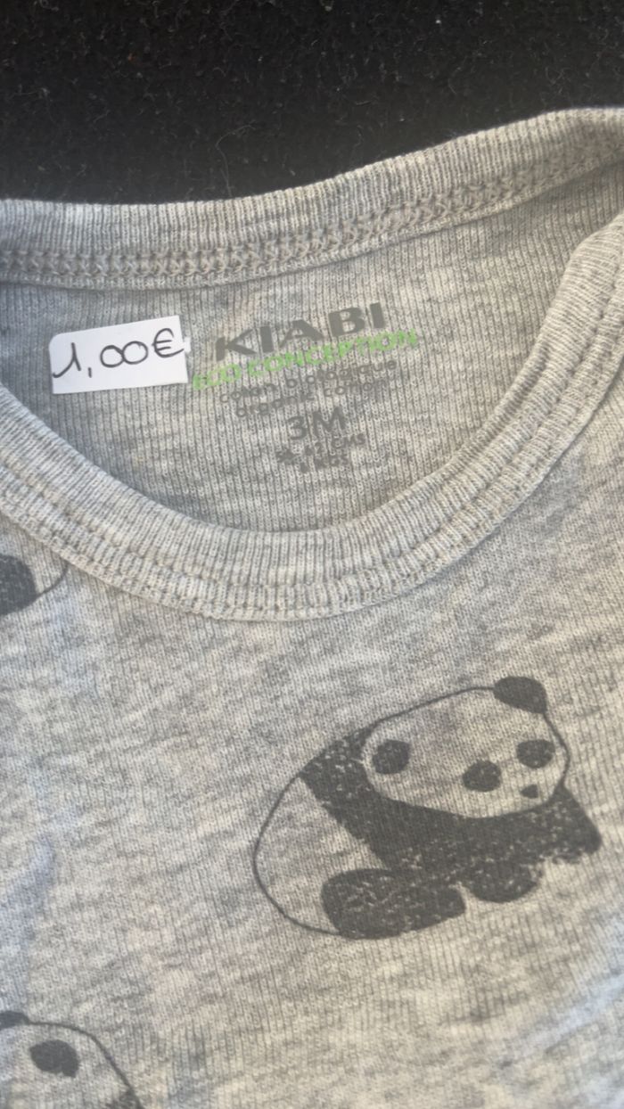 Bodie 3 mois - photo numéro 4