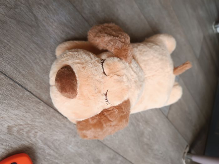 Grosse peluche anti stress chien