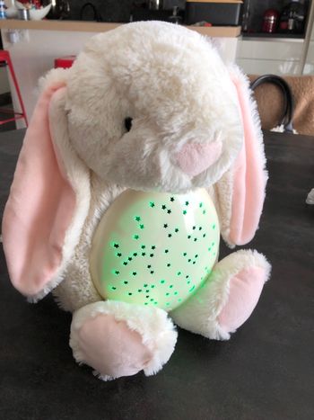 Peluche veilleuse
