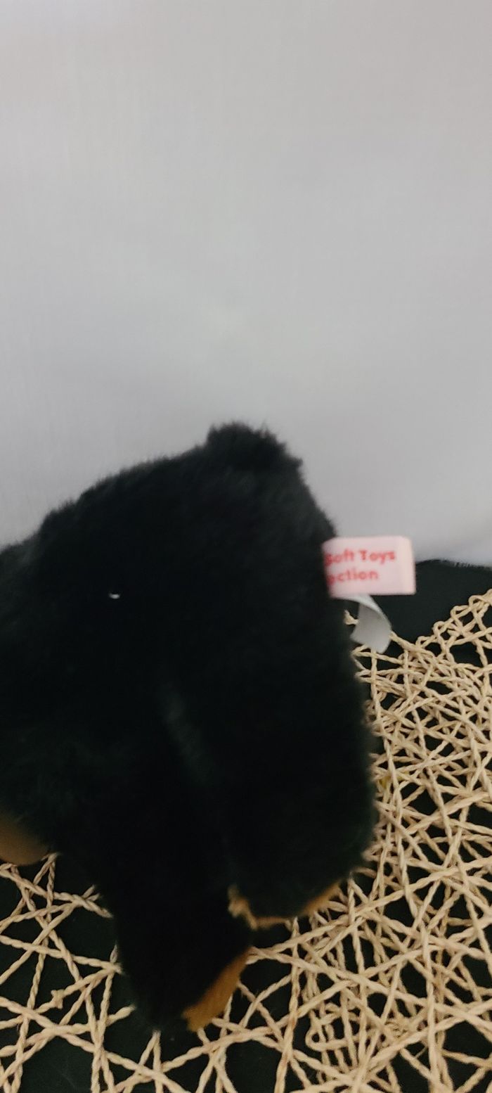 Peluche Sam ours noir 22 cm, PIA International Soft Toys - photo numéro 3