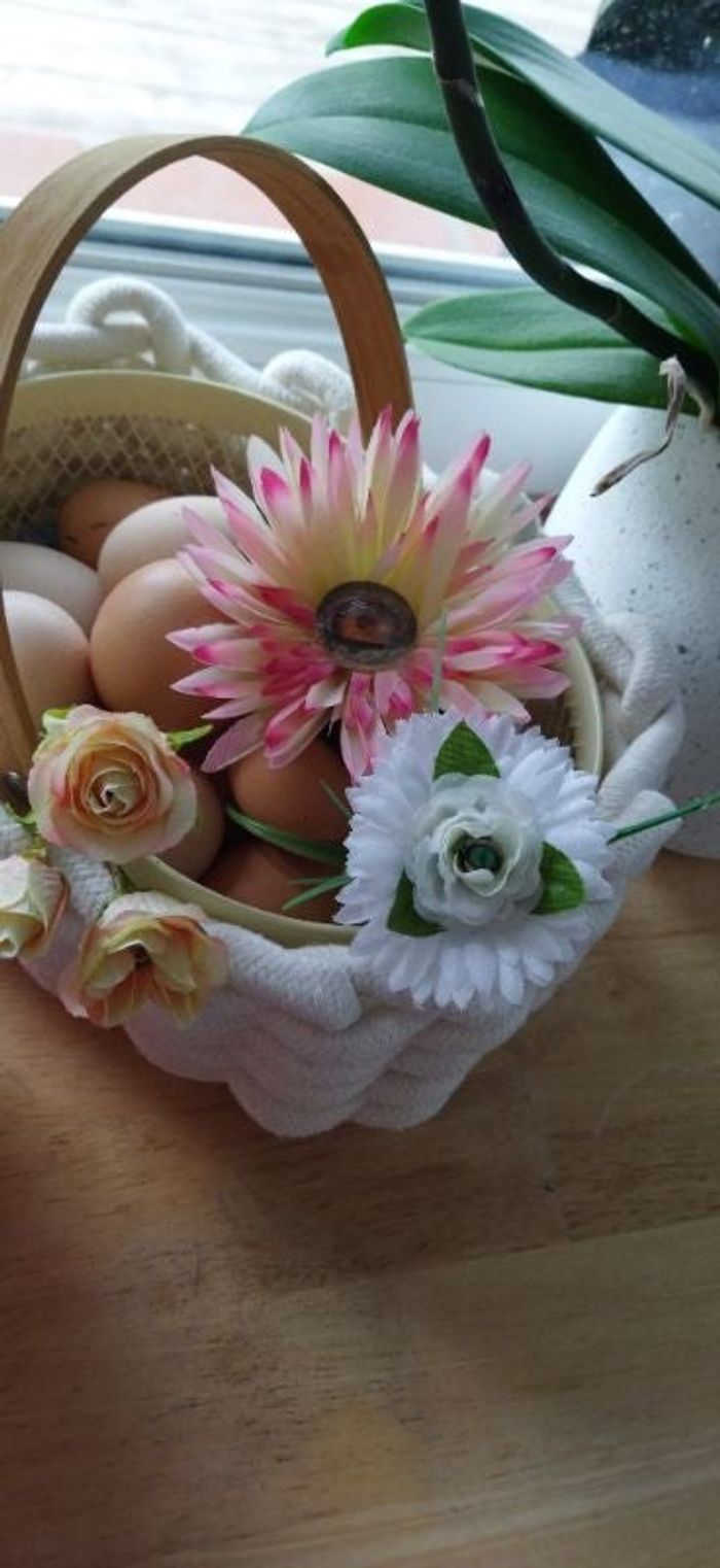 Pâquerettes d'halloween