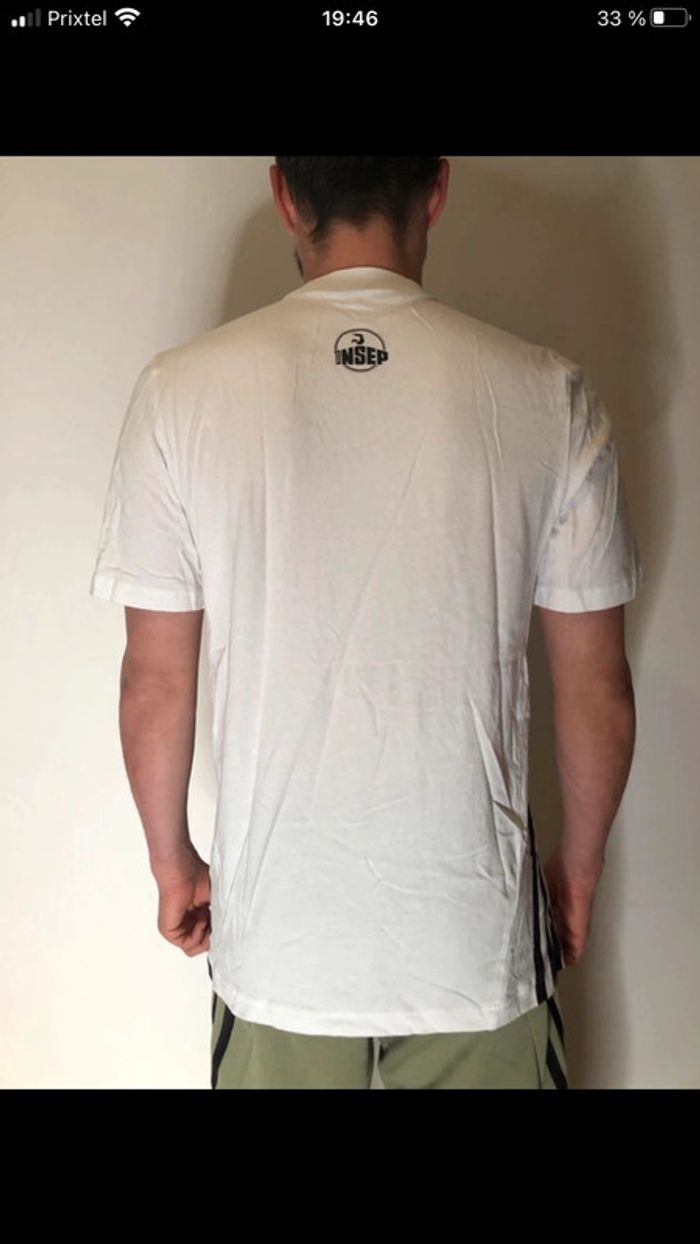 Pantalon Survêtement + tee shirt adidas Insep neuf - photo numéro 2