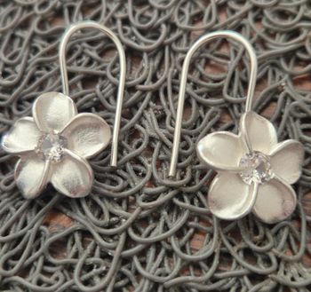 Paire de boucle d'oreilles